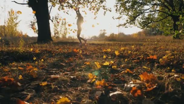 Junge Frau hebt die Hände und genießt fallendes Herbstlaub. glückliches Mädchen, das freudige Gefühle zeigt, mit Sonnenuntergang im Hintergrund. Dame genießen schöne herbstliche Umgebung. Zeitlupe — Stockvideo