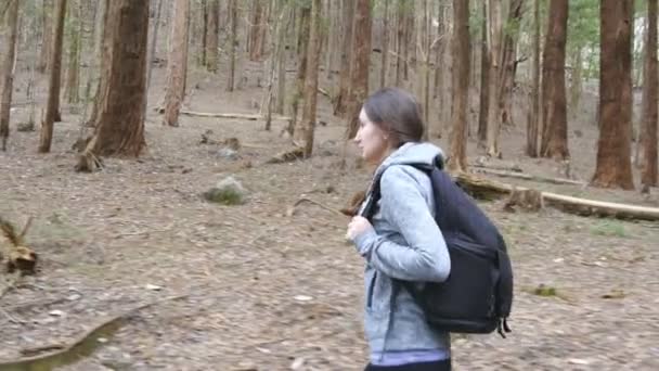 Vrouwelijke Backpacker gaat door het hout tijdens de zomer vakantie reizen. Jonge vrouw toerist met rugzak wandelen in het bos. Meisje wandelen in de natuur. Concept van een gezonde actieve levensstijl. Zijaanzicht — Stockvideo