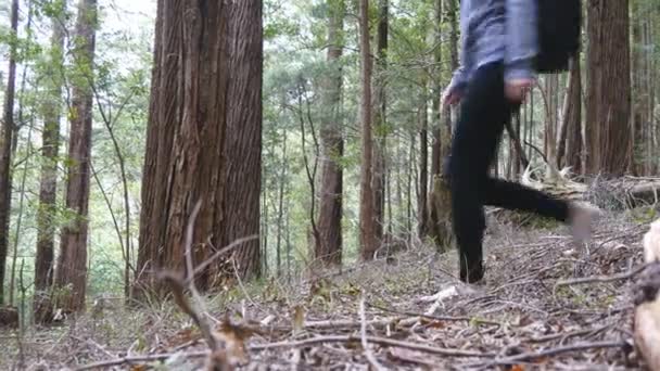 Pieds de jeune femme touriste avec sac à dos marchant dans la forêt. Jambes de routards qui traversent le bois pendant les vacances d'été. Fille randonnée à la nature seule. Concept de mode de vie actif 