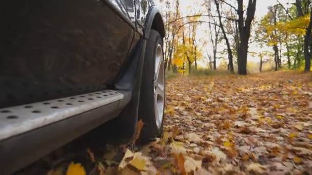 View from front wheel of black car driving on park road over yellow leaves at sunny day. Colorful autumn foliage flies out under automobile. Powerful SUV passing through empty alley. Slow motion — Stock Video