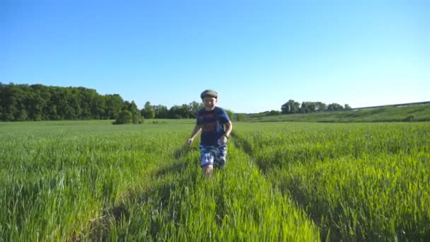 Retrato de menino feliz está correndo pelo campo com trigo verde em um dia quente ensolarado. Criança sorridente em chapéu correndo no prado no verão e se divertindo. Conceito de infância e descanso. Movimento lento — Vídeo de Stock