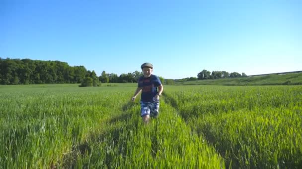 Ritratto di ragazzo felice sta correndo attraverso il campo con grano verde in una giornata calda e soleggiata. Bambino sorridente in cappello che fa jogging al prato in estate e si diverte. Concetto di infanzia e riposo. Rallentatore — Video Stock