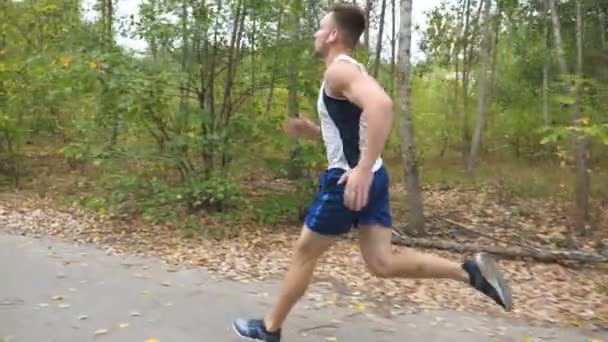 ワイヤレスヘッドフォンを備えたハンサムな強力なスポーツマンは、森の近くのトレイルに沿って速くスプリント。自然の中で道路を走るスポーティな男。初秋に運動する運動男。健康的なアクティブなライフスタイル — ストック動画