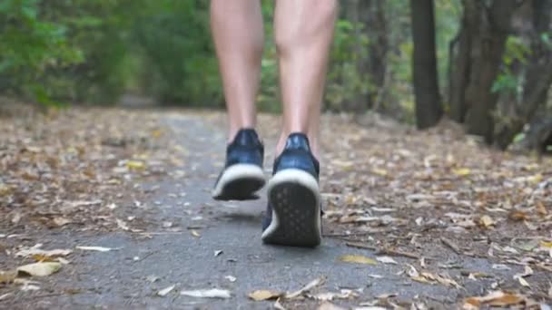 Pernas de homem esportivo correndo ao longo da trilha no início da floresta de outono. Pés masculinos de jovem atleta sprint rápido ao longo do caminho na natureza. Forte desportista treinando ao ar livre. Estilo de vida ativo saudável. Vista traseira — Vídeo de Stock