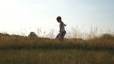 Tarlada yeşil çimenler üzerinde koşan uçak gibi elleri kaldıran küçük çocuk. Gün batımında çimlerde koşan mutlu çocuk. Neşeli erkek çocuk yaz çayırında doğada eğleniyor. Yavaş çekim Yakın çekim