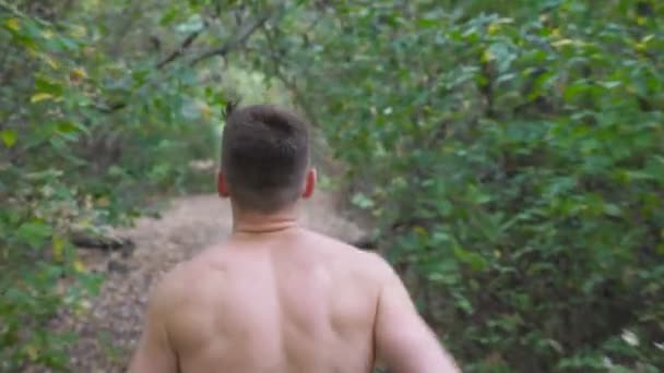初秋の森のトレイルを走る若い筋肉の男。認識できないスポーツマンは、自然の中でパスに沿ってスプリント。屋外で運動するアスレチックの男。健康的なアクティブライフスタイルのコンセプト。背面図 — ストック動画