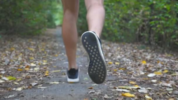 Legs of sporty man running along trail in early autumn forest. Male feet of young athlete sprinting fast along path at nature. Strong sportsman training outdoor. Healthy active lifestyle. Rear view — Stock Video