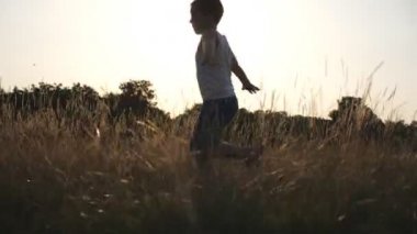 Tarlada yeşil çimenler üzerinde koşan uçak gibi elleri kaldıran küçük çocuk. Gün batımında çimlerde koşan mutlu çocuk. Neşeli erkek çocuk yaz çayırında doğada eğleniyor. Yavaş çekim Yakın çekim