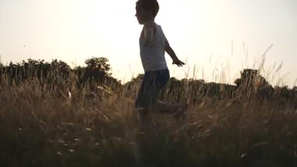 野原の緑の草原を走る飛行機のように手を上げた小さな男の子。日没の芝生でジョギングする幸せな子供。夏の牧草地で自然の中で楽しんで陽気な男性の子供。スローモーションクローズアップ — ストック動画