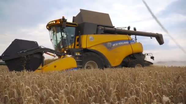 KHARKIV, UCRÂNIA - 2 DE AGOSTO DE 2019: A câmera segue para combinar a colheita de colheita de trigo maduro no campo. Colheitadeira montando lentamente através de talos de corte de campo de cevada. Conceito de colheita — Vídeo de Stock