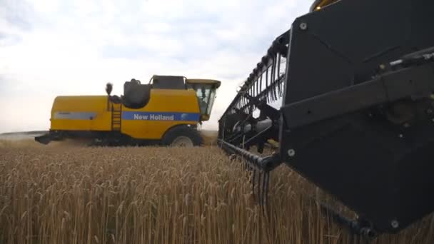 KHARKIV, UKRAINE - AUGUST 2, 2019: Side view on two modern combines gathering crop of ripe wheat in countryside. Harvesters slowly riding through field cutting stalks of barley. Concept of harvesting — Stock Video
