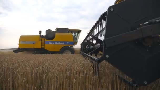 KHARKIV, UKRAINE - 2 AOÛT 2019 : Vue latérale sur deux moissonneuses-batteuses modernes récoltant du blé mûr à la campagne. Les cueilleurs traversent lentement des tiges d'orge coupées sur le terrain. Concept de récolte — Video