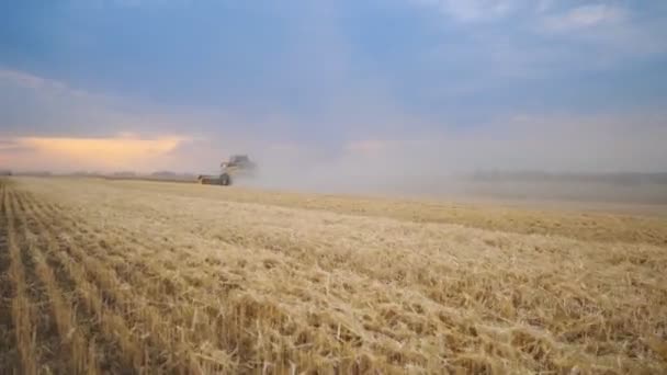 Kombajn zbożowy pracujący w uprawę zbiorów pola dojrzałej pszenicy. Połącz jazdę przez wiejski szlak pozostawiający kurz z tyłu. Piękny widok na malowniczy krajobraz przyrody. Koncepcja zbioru. Zwolnionym — Wideo stockowe