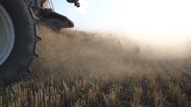 Colheitadeira de grãos trabalhando no campo. Combine a colheita de colheita de trigo maduro e jogando palha para trás. Conceito de colheita. Movimento lento Vista lateral Fechar — Vídeo de Stock