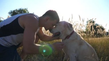Genç adam doğada labradorunu okşuyor, sarılıyor ve öpüyor. Golden Retriever 'la oynuyordum. Köpek, erkek yüzü yalıyor. Evcil hayvanlarla sevgi ve arkadaşlık. Arka planda güneş ışığı. Yavaş çekim