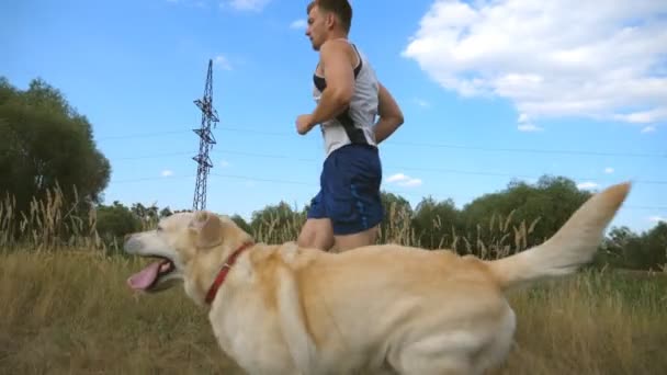 Joven corriendo al aire libre con su perro. Labrador o golden retriever trotando con su dueño masculino en la naturaleza. Vida activa saludable. Vista lateral en cámara lenta — Vídeo de stock