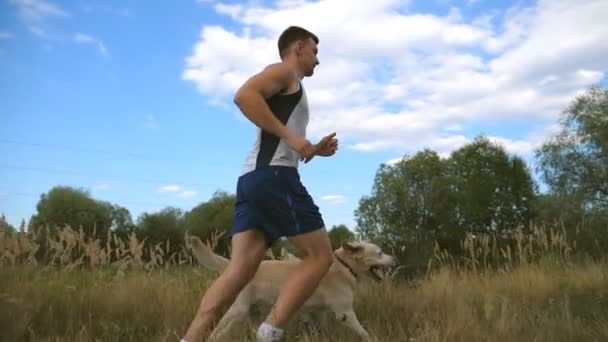 Ein junger Mann läuft mit seinem Hund im Freien. Labrador oder Golden Retriever joggen mit seinem Herrchen in der Natur. gesunder aktiver Lebensstil. Seitenansicht in Zeitlupe — Stockvideo