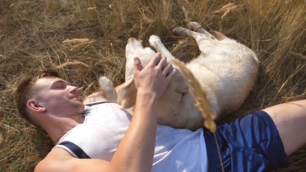 A fiatalember réten fekve, és simogatta a labrador. Arany-Vizsla jellegű játszó férfi tulajdonosa. Szerelem és a barátság, a háziállatok. Lassú mozgás közelről — Stock videók