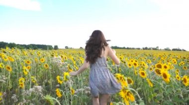 Sarı ayçiçeği sahada koşan tanınmaz halde güzel kız. Çayırlarda yaz gün boyunca koşu mutlu genç kadın. Özgürlük eğlence kavramı. Ağır çekim