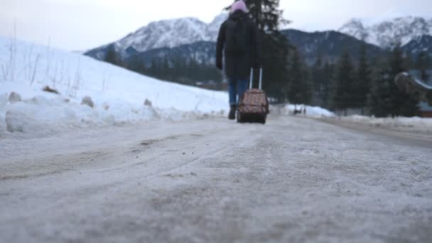 Kendi bavullarla karlı yolda kış günü sırasında tanınmayan adam. Yolda yürürken ve bavul tekerlekleri üzerinde haddeleme genç adam. Arka plan, dağ manzarası. Arka geri görüntülemek ağır çekim — Stok video