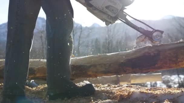 Homem irreconhecível moagem log com serra elétrica na floresta ensolarada de inverno. O carpinteiro processa um pedaço de madeira para um projeto de construção. Obras de construção com uma estrutura de madeira. Lento movimento Fechar — Vídeo de Stock