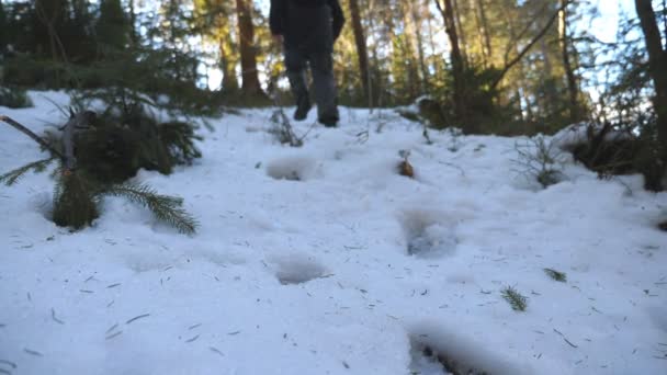 Un homme flou et méconnaissable grimpant sur une pente enneigée le matin. Jeune randonneur marchant sur la forêt de montagne pendant le voyage d'hiver. Beau paysage naturel. Concept de voyage. Vue arrière Mouvement lent — Video