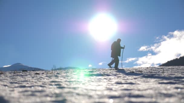 晴れた日に雪の草原に棒で北欧を歩く認識できない男の側面図。若いハイカーは雪の上でトレッキングし、屋外で運動します。健康的なアクティブライフスタイルのコンセプト。スローモーション — ストック動画