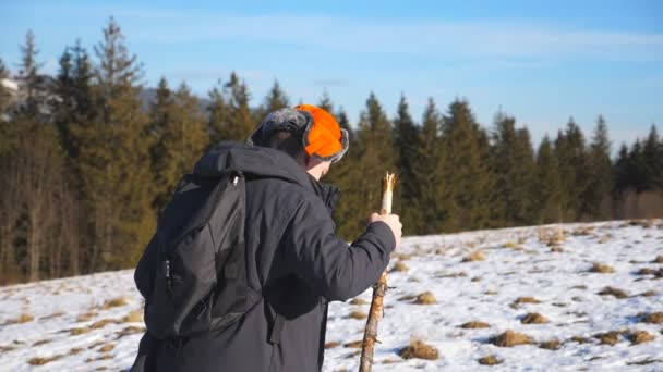 Sidovy av unga hiker ryggsäck och stick i hand klättring på snöiga kulle i fältet. Sportig kille vandring på snö äng på solig dag. Hälsosam aktiv livsstil. Vinter-skogen vid bakgrund — Stockvideo