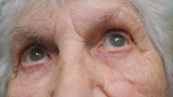 おばあさんの目が左右に動き、カメラを覗き込む。周りにしわのある年配の女性の目。スローモーションをクローズアップ — ストック動画