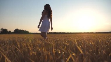 Güzel kız gün batımında mavi gökyüzünün altında buğday tarlası boyunca yürüyor. Genç bir kadın çayıra gidiyor. Doğa konseptinde yaz tatili. Yan Görünüm Yavaşça Kapat