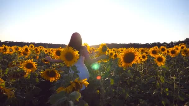 Junges Mädchen läuft bei Sonnenuntergang unter blauem Himmel am Sonnenblumenfeld entlang. Im Hintergrund scheint die Sonne. Folgen Sie der Frau beim Joggen auf der Wiese und genießen Sie die Freiheit. Rückansicht Zeitlupe — Stockvideo