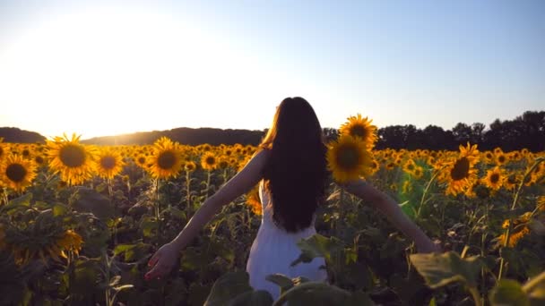 Jong meisje dat op het veld van zonnebloemen staat en haar handen omhoog steekt. Vrouw genieten van landschap en vrijheid op de weide. Achteraanzicht Slow motion Close up — Stockvideo
