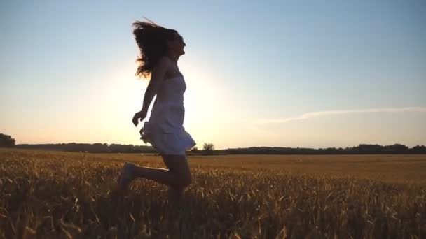 La joven corre a lo largo del campo de trigo bajo el cielo azul al atardecer. La mujer está corriendo en el prado. El sol brilla en el fondo. Vista lateral Cámara lenta — Vídeos de Stock