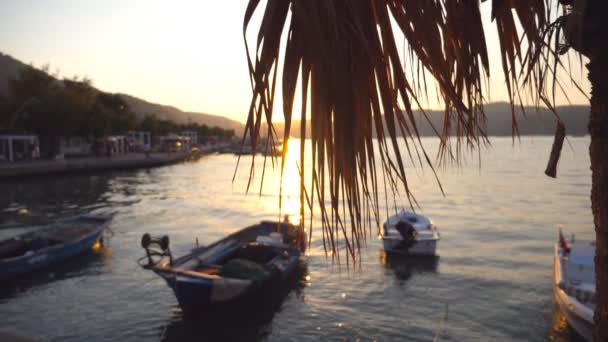 Malebné scény rybářských člunů, stojící poblíž pobřeží při západu slunce. Slunce prosvítající palm listy. Přírodní pozadí. Krásná krajina. Zpomalený pohyb — Stock video