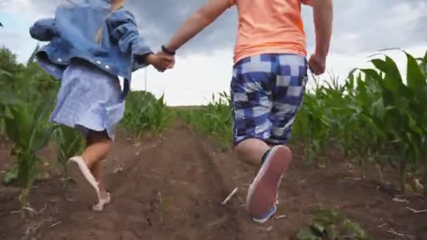 Klein meisje en jongen die elkaars hand vasthouden en plezier hebben terwijl ze door het maïsveld rennen. Leuke kinderen joggen tussen maïsplantage, draaien zich om naar camera en glimlachen. Gelukkige jeugd. Langzaam. — Stockvideo
