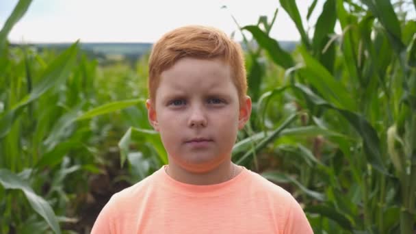 Retrato de un joven pelirrojo serio mirando a la cámara contra el fondo borroso del campo de maíz. Un niño pequeño parado en el prado. Acercamiento de las emociones del niño varón con expresión triste en la cara — Vídeos de Stock
