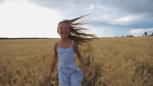 大麦のフィールドを介してカメラに実行して長いブロンドの髪を持つ幸せな女の子のクローズアップ。小さな笑顔の子供が小麦の牧草地をジョギング。黄金のプランテーションでかわいい子供が時間を過ごす。スローモーション — ストック動画