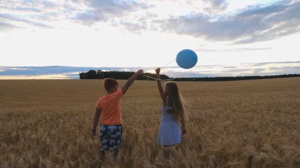 Niña y niño de pie en el campo de trigo y la liberación de las manos globo en el cielo. Lindos niños pequeños se divierten mientras corren a través de la plantación de cebada en el día nublado. Primer plano: cámara lenta — Vídeos de Stock