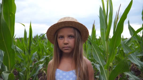 Retrato de una niña seria con sombrero de paja mirando a la cámara contra el fondo del campo de maíz en la granja orgánica. Niño pequeño con el pelo largo y rubio de pie en el prado en el día nublado — Vídeos de Stock