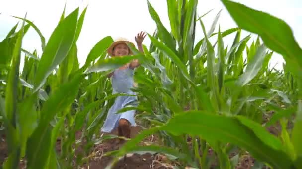 Primer plano de niño feliz en sombrero de paja corriendo a la cámara a través del campo de maíz en el día nublado. Hermosa linda chica con pelo largo y rubio divirtiéndose mientras trota sobre la plantación de maíz — Vídeos de Stock