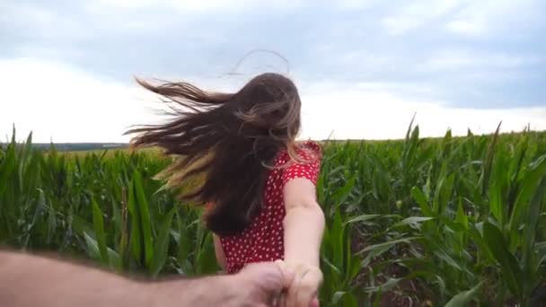 Sígueme la foto de una joven vestida de rojo tirando de su novio en el campo de maíz. Chica feliz sosteniendo la mano masculina y corriendo por el prado. Concepto de amor y felicidad. Punto de vista de cámara lenta POV — Vídeos de Stock