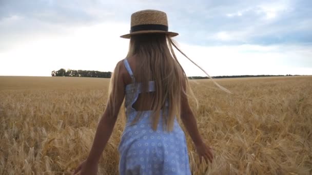 跟随小女孩在草帽在阴天穿过麦田。可爱的孩子与长长的金发触摸作物的金耳。穿着裙子的小孩在大麦的草地上 — 图库视频影像
