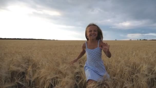 Hermosa chica feliz con el pelo largo y rubio corriendo a la cámara a través del campo de trigo. Pequeño niño sonriente corriendo sobre el prado de cebada. Lindo niño pasar tiempo en la plantación de oro. Movimiento lento — Vídeos de Stock