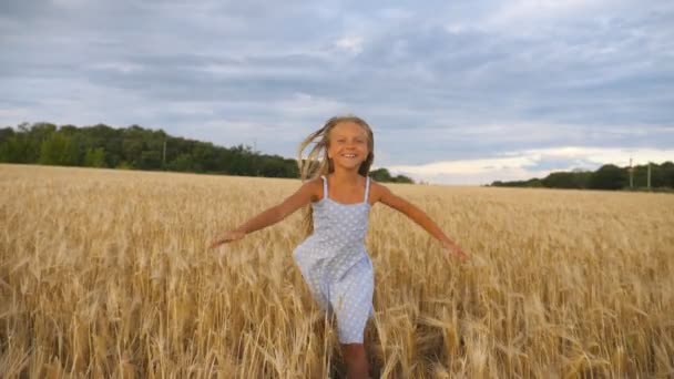 Piękna szczęśliwa dziewczyna z długimi blond włosami biegnąca do kamery przez pole pszenicy. Mały uśmiechnięty dzieciak biegający po łące jęczmienia. Słodkie dziecko spędzające czas na złotej plantacji. Zwolniony ruch — Wideo stockowe