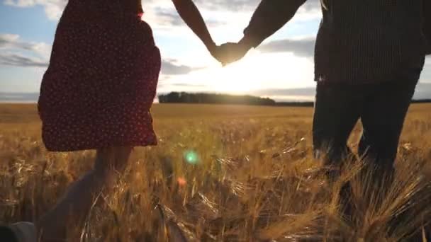 Jeune couple tenant la main les uns des autres et courant à travers le champ de blé au coucher du soleil. Homme et femme s'amusent en faisant du jogging à la plantation d'orge. Heureux couple passer du temps ensemble à la nature — Video