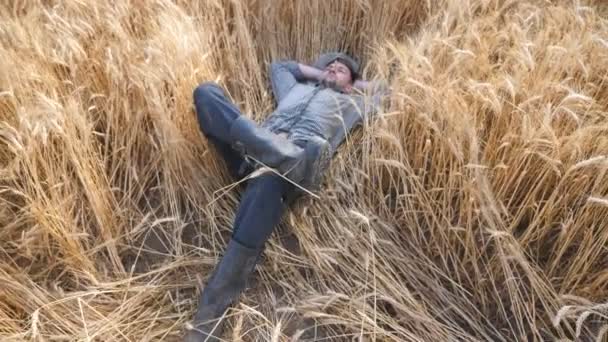 Dolly shot of young farmer laying on wheat stems and resting at barley meadow. Male agronomist lying on barley stalks and relaxing at cereal field. Concept of agricultural business. Slow motion — Stock Video
