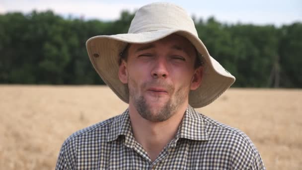 Portrét šťastného agronoma, který se směje na rozmazaném pozadí pšeničného pole. Mladý veselý farmář ukazuje na ječné louce na kameru grimasy. Zemědělský koncept. Zavřít — Stock video