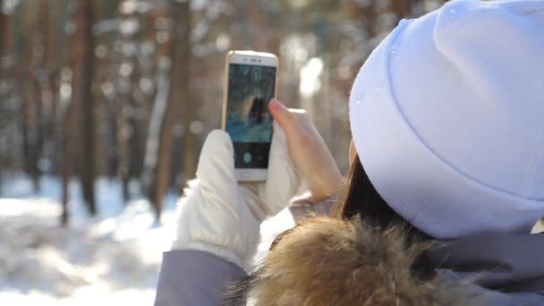 Unrecognizable girl in white cap taking photo of scenic snowy forest on her smartphone. Woman using phone to get beautiful pictures of winter landscape. Lady enjoying holiday at wintertime. Slow mo — Wideo stockowe