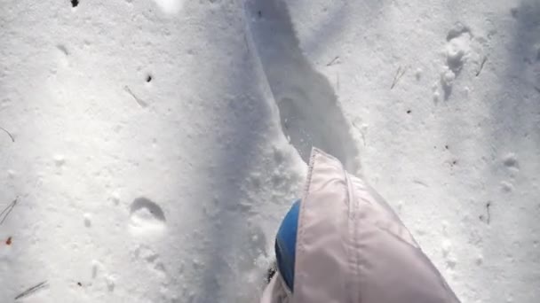 Acercamiento de piernas de mujer pisando nieve profunda y pateándola. Caminante caminando en el bosque nevado en el frío día de invierno. Una chica al aire libre. Nieve blanca limpia que ilumina con luz solar. POV Lento mo Vista superior — Vídeos de Stock