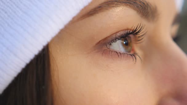 Vista detalhada do rosto da mulher com belos olhos castanhos. Menina atraente em pé na floresta de inverno e olhando ao redor desfrutar de vistas. Fechar o rosto feminino. Movimento lento — Vídeo de Stock